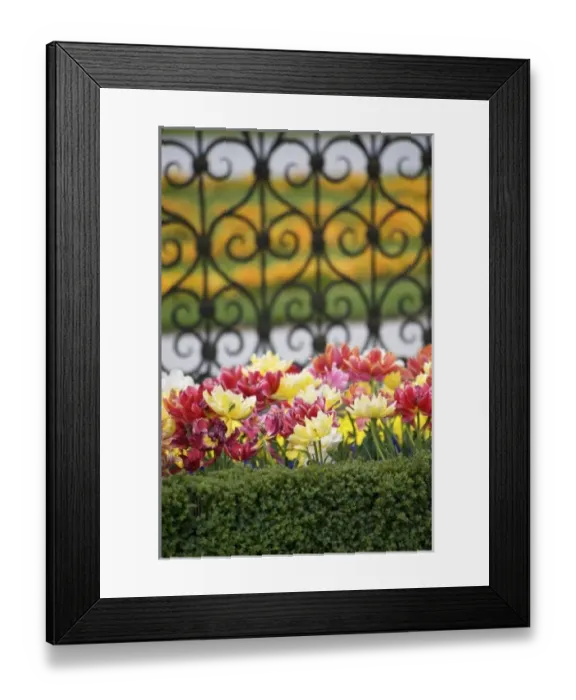 Framed Print : Europe, Austria Framed Print : Europe, Austria