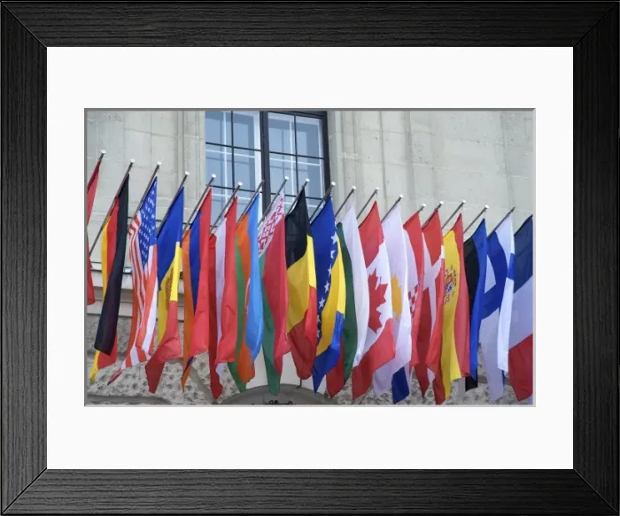 Framed Print : Europe, Austria, Vienna, country flags on Hofburg Palace exterior