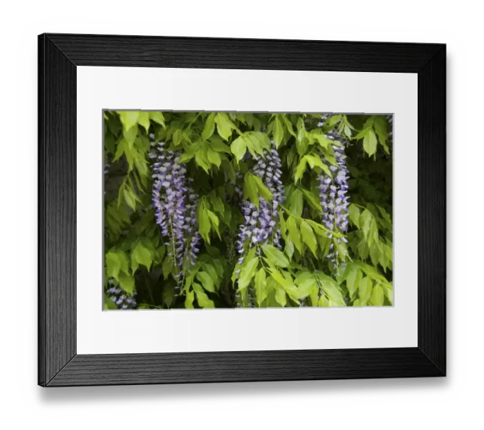 Framed Print : Europe, Austria Framed Print : Europe, Austria