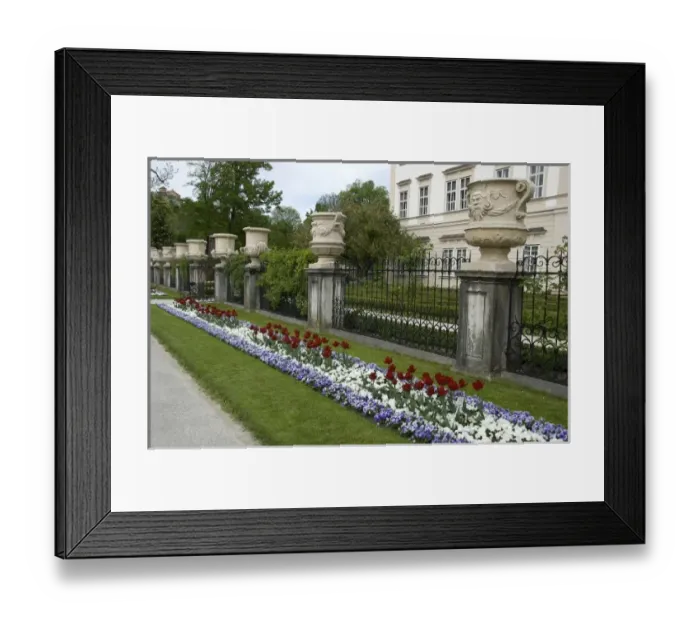 Framed Print : Europe, Austria, Salzburg Stadt, Salzburg, Spring flowers in Mirabell Garden Framed Print : Europe, Austria, Salzburg Stadt, Salzburg, Spring flowers in Mirabell Garden