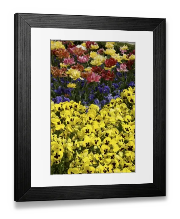 Framed Print : Europe, Austria Framed Print : Europe, Austria