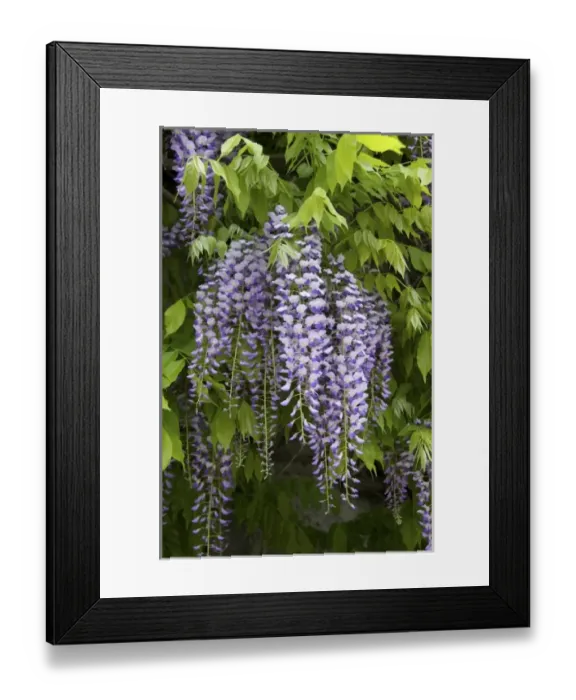 Framed Print : Europe, Austria