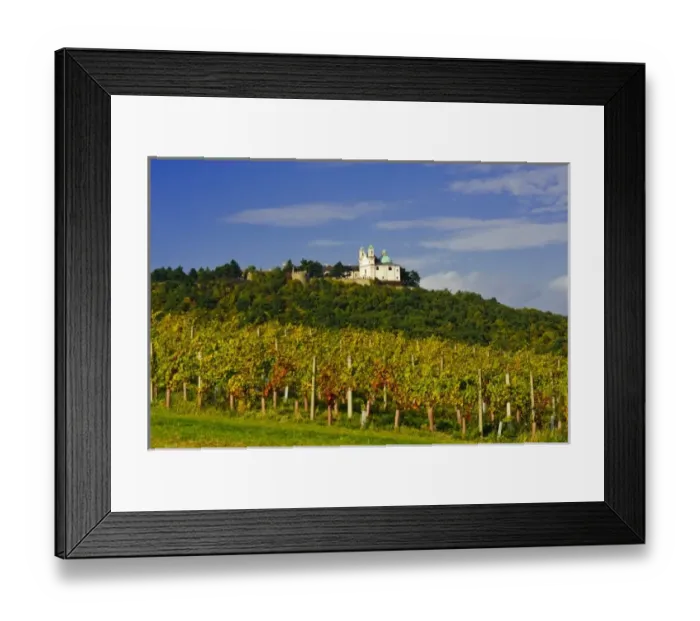 Framed Print : Austria, Vienna. Vienna has 630 producers - one wine producer per 2, 500 persons - working 1 Framed Print : Austria, Vienna. Vienna has 630 producers - one wine producer per 2, 500 persons - working 1
