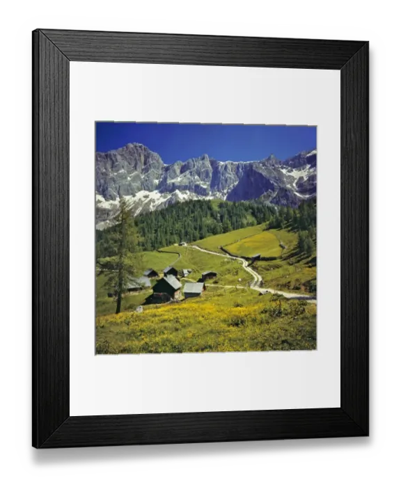 Framed Print : Europe, Austria, Dachstein Alps. Buttercups fill the meadows near hay barns in the Dachstein Alps Framed Print : Europe, Austria, Dachstein Alps. Buttercups fill the meadows near hay barns in the Dachstein Alps