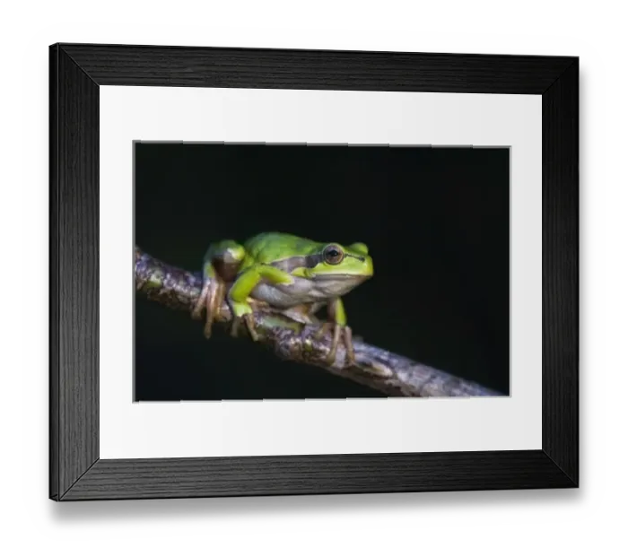 Framed Print : Europe, Austria