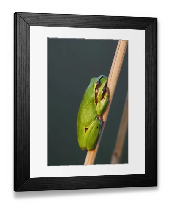 Framed Print : Europe, Austria