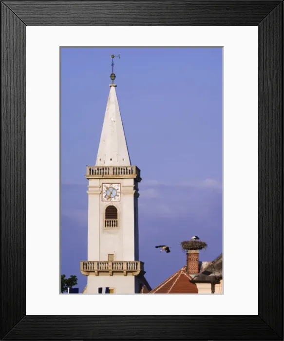 Framed Print : White Stork, Ciconia ciconia, adults on nest by church in Rust city, Rust, National