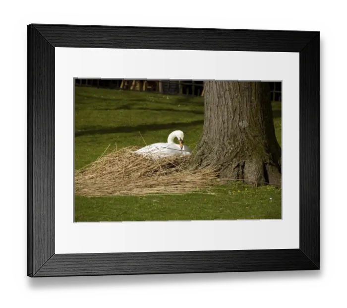 Framed Print : Europe, Belgium Framed Print : Europe, Belgium