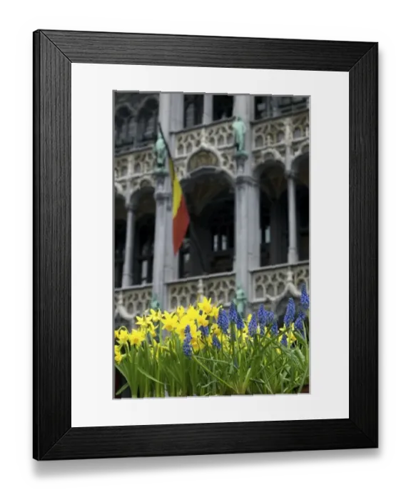 Framed Print : Belgium, Flanders, Brussels, flowers in Grand Place, Maison du Roi Framed Print : Belgium, Flanders, Brussels, flowers in Grand Place, Maison du Roi