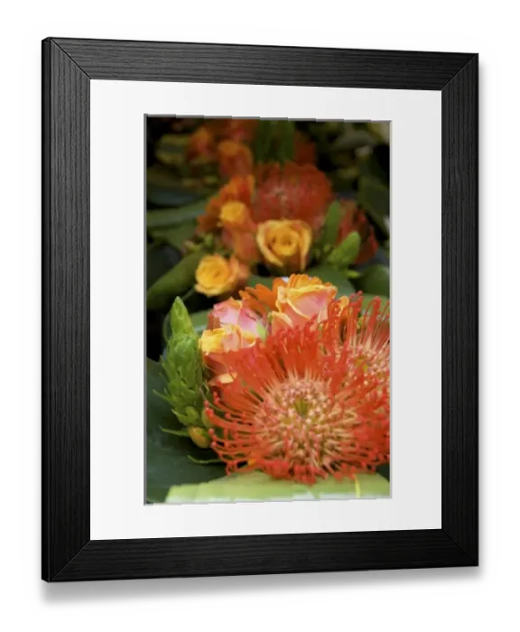 Framed Print : Belgium, Flanders, Antwerp Province, Antwerp, Antwerpen, flowers for sale Framed Print : Belgium, Flanders, Antwerp Province, Antwerp, Antwerpen, flowers for sale