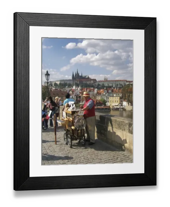 Framed Print : Europe, Czech Republic