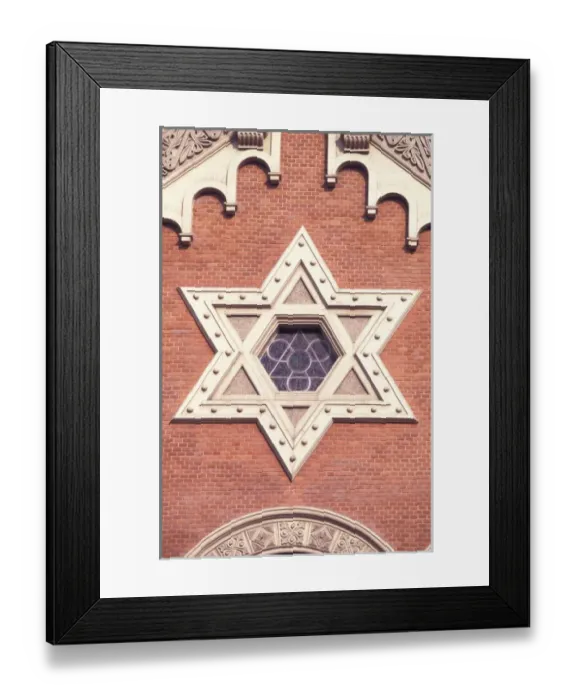 Framed Print : Czech Republic, Plzen. The Great Synagogue