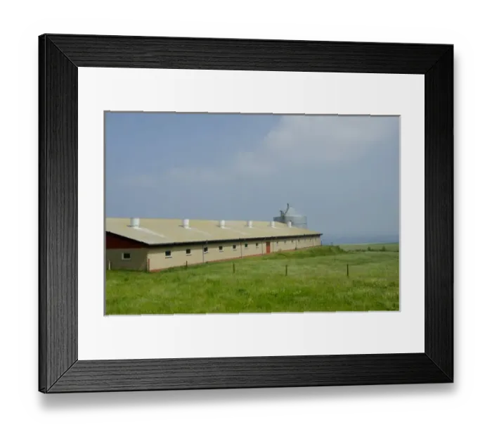 Framed Print : Denmark, Island of Bornholm. Countryside near Gudhjem along the Baltic Sea coastline