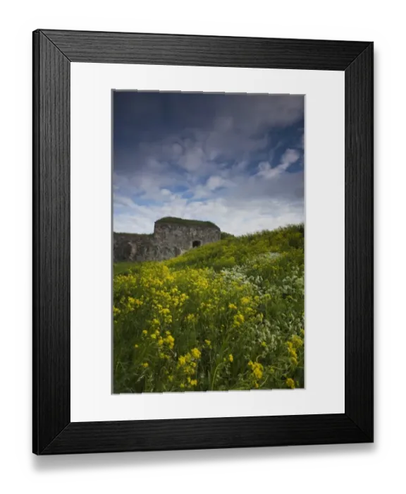 Framed Print : Finland, Helsinki, Suomenlinna-Sveaborg Fortress, fortress landscape Framed Print : Finland, Helsinki, Suomenlinna-Sveaborg Fortress, fortress landscape