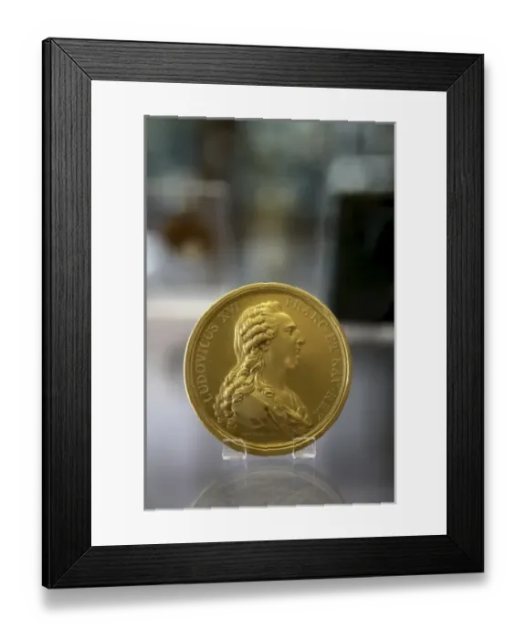 Framed Print : Europe, France