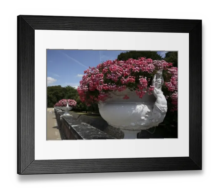 Framed Print : Flower pots decorated the garden of Chateau de Chenonceaux. Loire Valley. France Framed Print : Flower pots decorated the garden of Chateau de Chenonceaux. Loire Valley. France