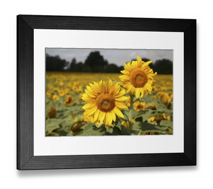 Framed Print : Europe, France Framed Print : Europe, France