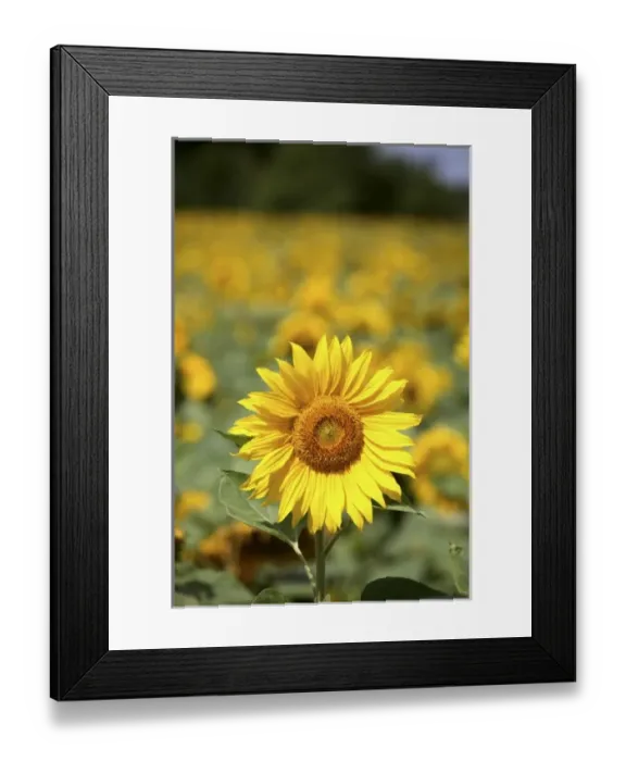 Framed Print : Europe, France