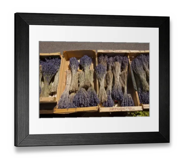 Framed Print : Europe, France Framed Print : Europe, France