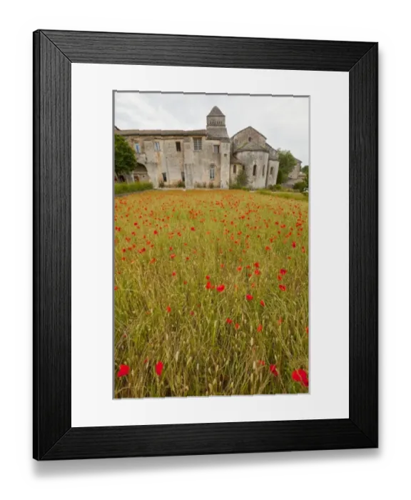 Framed Print : Europe, France