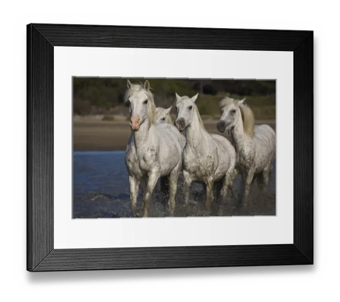 Framed Print : Europe, France