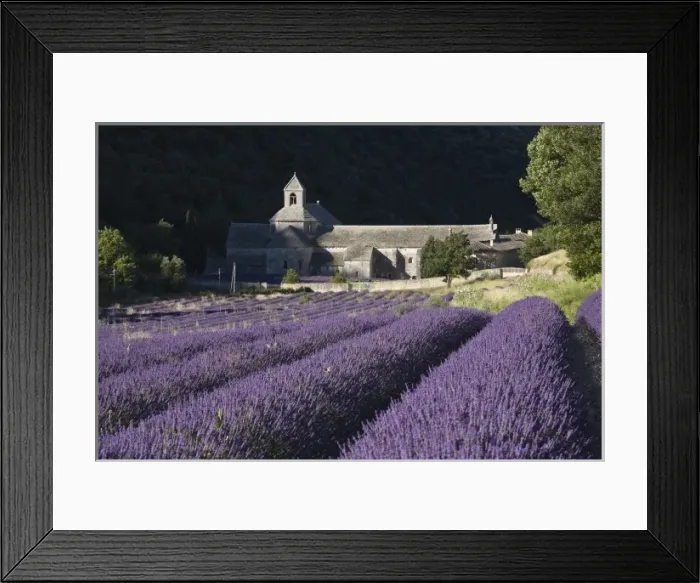 Framed Print : France, Luberon, Senanque Monastery with lavender fields Framed Print : France, Luberon, Senanque Monastery with lavender fields