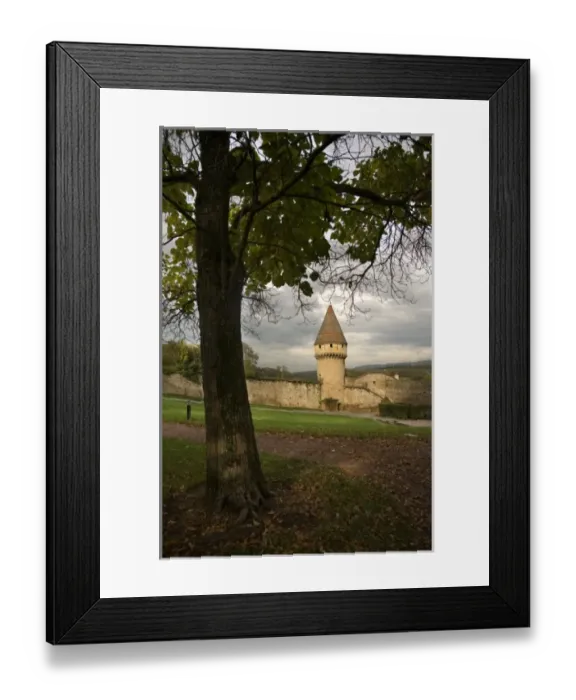 Framed Print : Europe, France