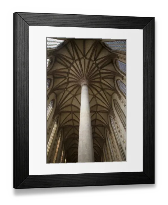 Framed Print : Vaulted ceiling of Les Jacobins church, Toulouse, Haute Garonne, Midi Pyrenees, France Framed Print : Vaulted ceiling of Les Jacobins church, Toulouse, Haute Garonne, Midi Pyrenees, France