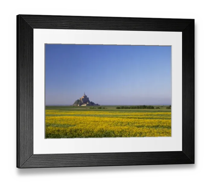 Framed Print : Mont Saint Michel, Normandy, France rape seed field
