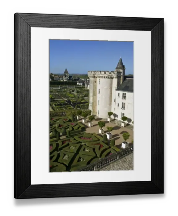 Framed Print : Garden at the Chateau of Villandry in autumn, Indre-et-Loire, Loire Valley, France Framed Print : Garden at the Chateau of Villandry in autumn, Indre-et-Loire, Loire Valley, France