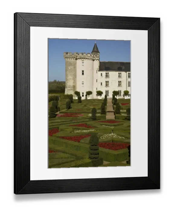 Framed Print : Garden at the Chateau of Villandry in autumn, Indre-et-Loire, Loire Valley, France Framed Print : Garden at the Chateau of Villandry in autumn, Indre-et-Loire, Loire Valley, France