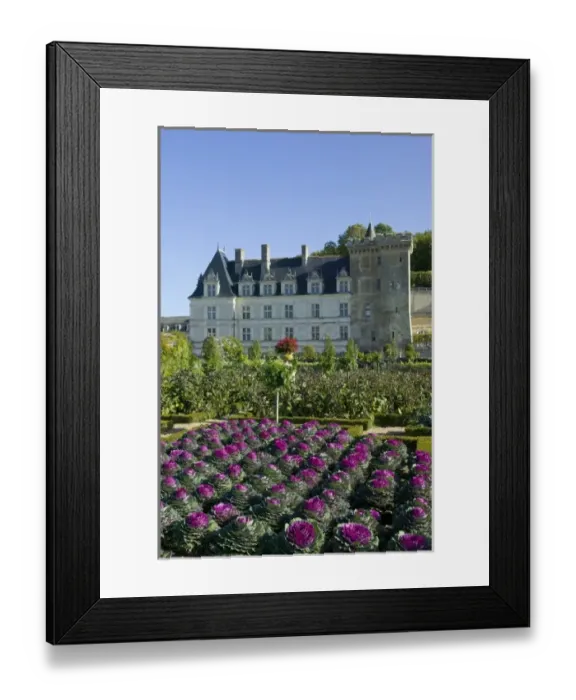 Framed Print : Europe, France Framed Print : Europe, France