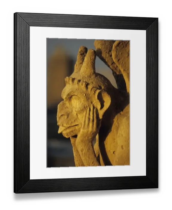 Framed Print : Chimera, Notre Dame Cathedral, Paris, France Framed Print : Chimera, Notre Dame Cathedral, Paris, France