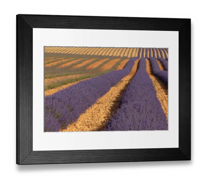 Framed Print : Europe, France Framed Print : Europe, France