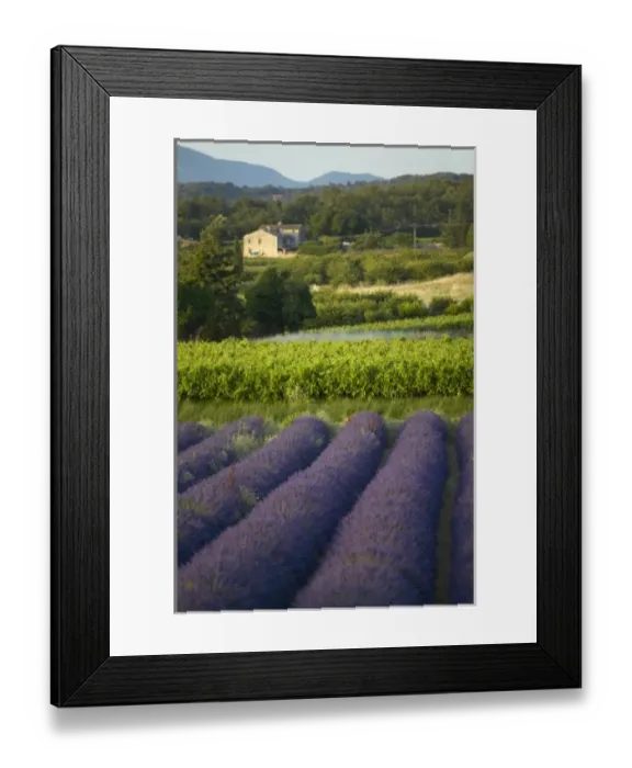 Framed Print : Europe, France