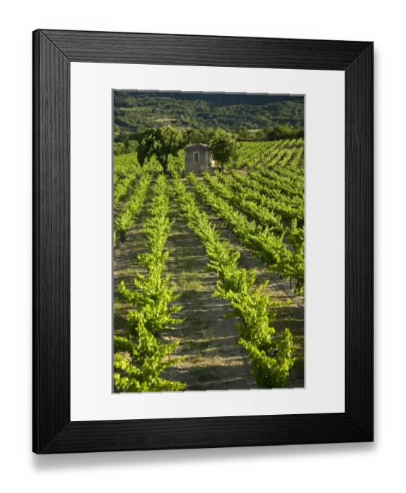 Framed Print : Europe, France Framed Print : Europe, France