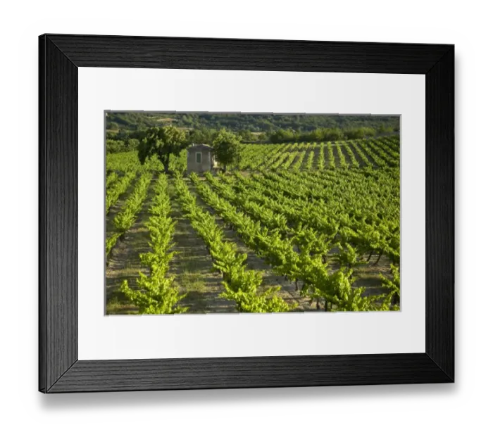 Framed Print : Europe, France
