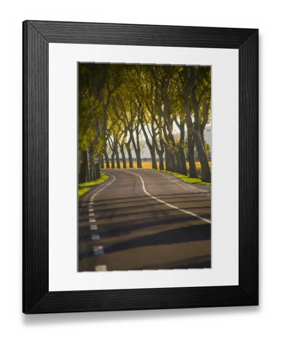 Framed Print : Europe, France Framed Print : Europe, France