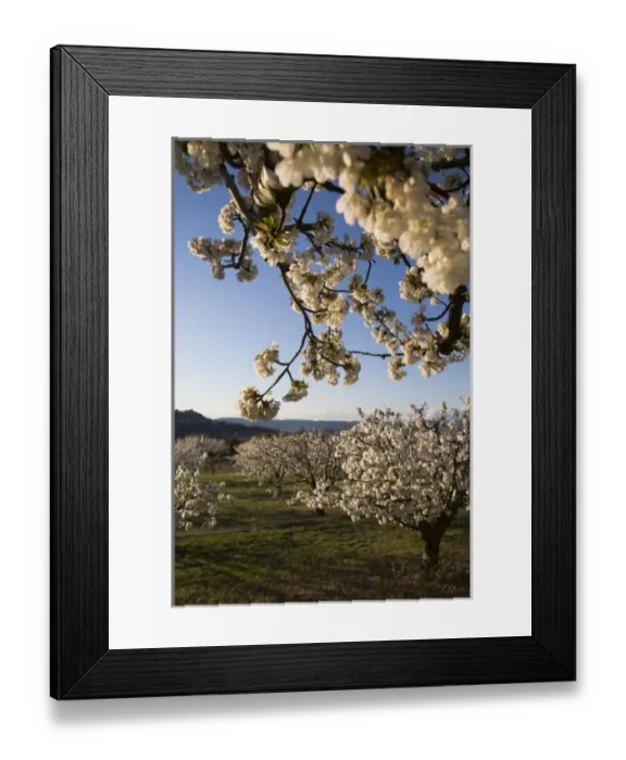 Framed Print : Europe, France Framed Print : Europe, France