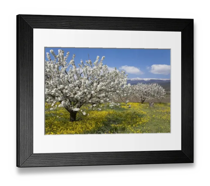 Framed Print : Europe, France Framed Print : Europe, France