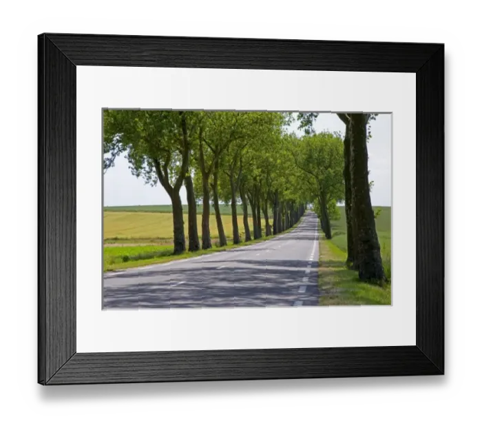 Framed Print : Europe, France