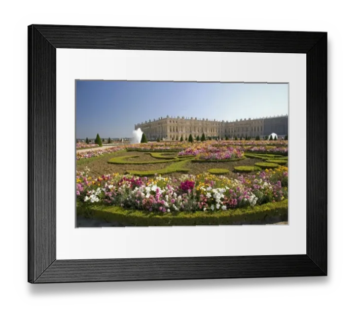 Framed Print : Formal gardens of The Palace of Versailles at Versailles in the department of Yvelines, France Framed Print : Formal gardens of The Palace of Versailles at Versailles in the department of Yvelines, France