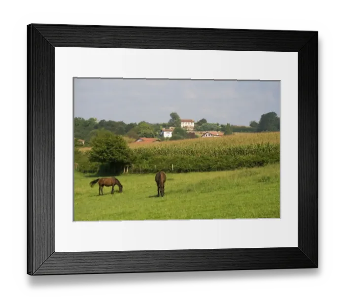 Framed Print : Europe, France