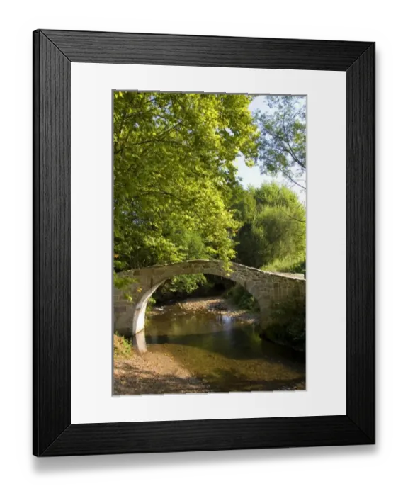 Framed Print : Europe, France