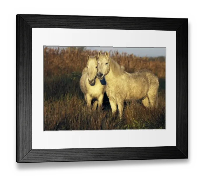 Framed Print : Europe, France Framed Print : Europe, France