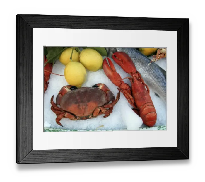 Framed Print : Mediteranean Fresh Catch Framed Print : Mediteranean Fresh Catch