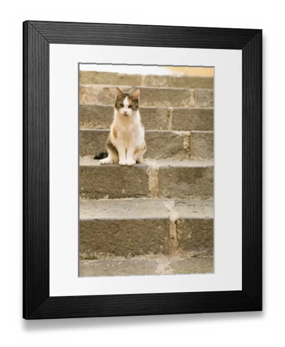 Framed Print : Europe, France Framed Print : Europe, France
