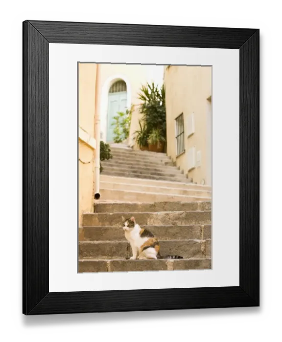 Framed Print : Europe, France Framed Print : Europe, France