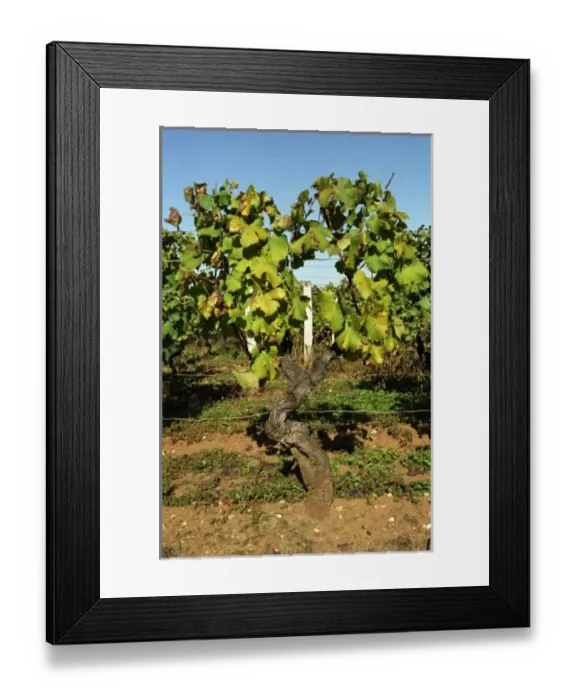 Framed Print : Europe, France