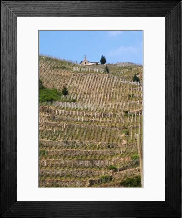Framed Print : The Hermitage chapel. The Hermitage vineyards on the hill behind the city Tain-l Hermitage Framed Print : The Hermitage chapel. The Hermitage vineyards on the hill behind the city Tain-l Hermitage